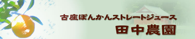 古座ぽんかんストレートジュース　田中農園